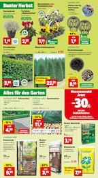 Blumenerde Angebot im aktuellen Thomas Philipps Prospekt auf Seite 3