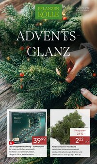 Pflanzen im Pflanzen Kölle Prospekt "ADVENTS GLANZ" mit 18 Seiten (Nürnberg)