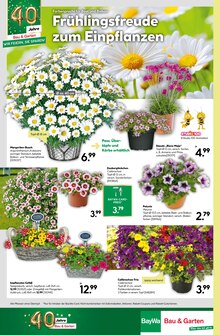 Blumentopf im BayWa Bau- und Gartenmärkte Prospekt "Jubiläums-angebote" mit 16 Seiten (Würzburg)