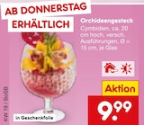 Orchideengesteck Angebote bei Netto Marken-Discount Recklinghausen für 9,99 €