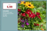 Labertaler Fachmarkt - STAUDEN Angebot im Prospekt STAUDEN bei Labertaler Fachmarkt im Prospekt "" für 5,99 €
