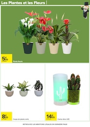 Offre Plante Verte dans le catalogue Carrefour du moment à la page 68