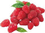 REWE - Himbeeren Angebot im Prospekt Himbeeren bei REWE im Prospekt "" für 0,80 €