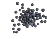 Bio-Heidelbeeren von  im aktuellen tegut Prospekt für 3,99 €