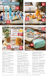 Schnittblumen Angebot & Preis im aktuellen XXXLutz Möbelhäuser Prospekt Schnittblumen Angebot im aktuellen XXXLutz Möbelhäuser Prospekt auf Seite 14