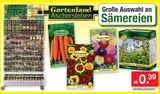 Möhren Nantaise 2 Angebote von Florina bei Zimmermann Emden für 0,39 €