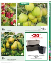 Jardinière Angebote im Prospekt "PRÉPAREZ L’AUTOMNE : JARDIN - BRICOLAGE" von Carrefour Market auf Seite 7