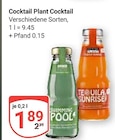 Cocktail im Angebot bei GLOBUS in Saarbrücken Cocktail Angebote von Cocktail Plant bei GLOBUS Saarbrücken für 1,89 €
