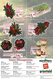 Schmuck im Garten-Center Nordharz GmbH & Co. KG Prospekt in Laatzen Aktueller Garten-Center Nordharz GmbH & Co. KG Prospekt mit Schmuck, "FRÖHLICHE ADVENTSZEIT", Seite 16