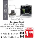 Glas-Vase Rimini Angebote von Ritzenhoff & Breker bei E center Lahr für 4,99 €