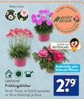 Frühlingsblüher von GARDENLINE im aktuellen ALDI SÜD Prospekt für 2,79 €