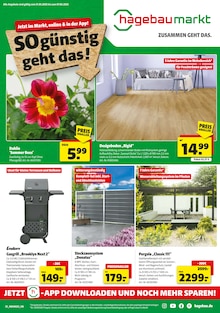 Aktueller Hagebaumarkt Prospekt (Schmalkalden) Hagebaumarkt Prospekt mit 16 Seiten (Schmalkalden)