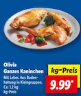 Ganzes Kaninchen Angebote von Olivia bei Lidl Ahaus für 9,99 €