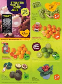 Pflanzen Angebot im aktuellen tegut Prospekt auf Seite 5