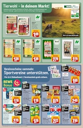 REWE Folie im Prospekt 