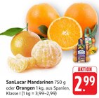E center Filderstadt - Mandarinen Angebot im Prospekt Mandarinen bei E center im Filderstadt Prospekt für 2,99 €