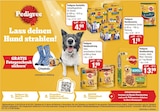 Hundenahrung von Pedigree im aktuellen V-Markt Prospekt für 4,99 €