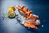 GAMBAS ENTIÈRES CUITES RÉFRIGÉRÉES - SANS MARQUE - Auchan Supermarché à Charenton-le-Pont GAMBAS ENTIÈRES CUITES RÉFRIGÉRÉES - SANS MARQUE en promo chez Auchan Supermarché Charenton-le-Pont à 8,79 €