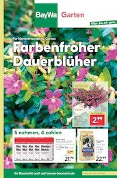 BayWa Bau- und Gartenmärkte Prospekt für Brackenheim: "Hier bin ich gern", 8 Seiten, 01.07.2024 - 06.07.2024
