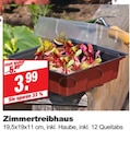 Zimmertreibhaus Angebote bei bauSpezi Siegen für 3,99 €