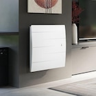 Castorama Créteil - Promo Radiateur électrique double corps de chauffe Sauter Malao Auto Horizontal 1000 W Promo Radiateur électrique double corps de chauffe Sauter Malao Auto Horizontal 1000 W à 429,00 € dans le catalogue Castorama à Créteil