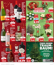 Champagner im Kaufland Prospekt "Aktuelle Angebote" mit 38 Seiten (Ulm)
