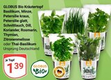 Aktuelle Rosmarin Angebote bei GLOBUS in Duisburg Aktuelles Bio Kräutertopf Basilikum Angebot bei GLOBUS in Duisburg ab 1,39 €