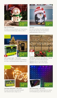 Gardinen im aktuellen Pflanzen Kölle Prospekt (Berlin) Gardinen im Pflanzen Kölle Prospekt "SCHÖNSTER WEIHNACHTSMARKT WEIT UND BREIT" mit 20 Seiten (Berlin)