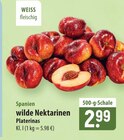 wilde Nektarinen Platerinas im Angebot bei famila Nordost in Gifhorn wilde Nektarinen Platerinas Angebote bei famila Nordost Gifhorn für 2,99 €