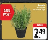 Rosmarin im Angebot bei EDEKA in Altenburg Rosmarin Angebote bei EDEKA Altenburg für 2,49 €