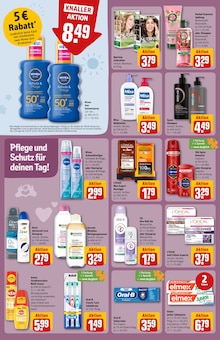 Pflanzen im aktuellen REWE Prospekt (Bielefeld) Pflanzen im REWE Prospekt "Dein Markt" mit 28 Seiten (Bielefeld)