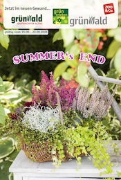 Garten-Center Nordharz GmbH & Co. KG Garten & Pflanzen Prospekt der aktuellen Woche mit 12 Seiten, gültig von 15.08.2026 bis 22.08.2026, in Wennigsen und Umgebung Aktueller Garten-Center Nordharz GmbH & Co. KG Garten & Pflanzen Prospekt in Wennigsen und Umgebung, "SUMMER'S END" mit 12 Seiten, 15.08.2026 - 22.08.2026