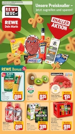 Aktueller REWE Hallbergmoos Prospekt "Dein Markt" mit 22 Seiten