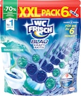 WC-Stein Blau Kraft Aktiv Ozeanfrische im Angebot bei dm-drogerie markt in Dülmen WC-Stein Blau Kraft Aktiv Ozeanfrische Angebote von WC-Frisch bei dm-drogerie markt Dülmen für 6,95 €