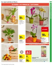 Prospectus Carrefour Market "Carrefour market" en cours à Niort, Page 37 Catalogue Carrefour Market en cours à Niort, "Carrefour market", Page 37