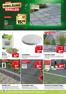Terrassenplatten im Hagebaumarkt Prospekt "UNSERE JUBILÄUMS KNALLER" mit 24 Seiten (Essen)