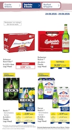 Becks im METRO Prospekt in Wismar Aktueller METRO Prospekt mit Becks, "Wochenangebote", Seite 31