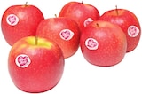 Tafeläpfel im REWE Prospekt Tafeläpfel von Pink Lady im aktuellen REWE Prospekt für 2,49 €
