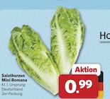 combi Esens - Salatherzen Mini Romana Angebot im Prospekt Salatherzen Mini Romana bei combi im Esens Prospekt für 0,99 €