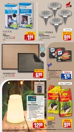 Leuchten Angebot im aktuellen REWE Prospekt auf Seite 23