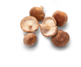 dtsch. Shitake-Pilze im Angebot bei Kaufland in Frankfurt dtsch. Shitake-Pilze Angebote von Bioland bei Kaufland Frankfurt für 1,99 €