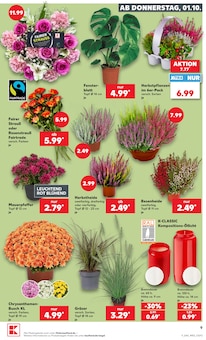 Pflanzen im Kaufland Prospekt "Hier bin ich richtig" mit 76 Seiten (Aachen)