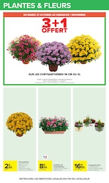 Prix et réduction Chrysanthèmes dans le prospectus Carrefour en cours Offre Chrysanthèmes dans le catalogue Carrefour du moment à la page 29