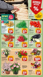 Blumen im REWE Prospekt in Fellbach Aktueller REWE Prospekt mit Blumen, "Dein Markt", Seite 7