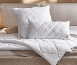 Aktuelles Ganzjahresbett ca. 135 x 200 cm Angebot bei Möbelzentrum Pforzheim in Stuttgart ab 11,99 €