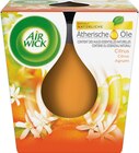 Duftkerze im Glas Citrus 105g von AirWick für 3,25 € bei dm-drogerie markt im Angebot Duftkerze im Glas Citrus 105g von AirWick im aktuellen dm-drogerie markt Prospekt
