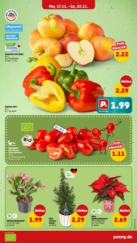 Paprika im Penny Prospekt "Wer günstig will, muss Penny." mit 44 Seiten (Koblenz)