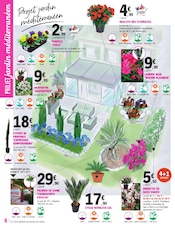 Palmier Angebote im Prospekt "LA FOIRE AU TERREAUX" von E.Leclerc auf Seite 6