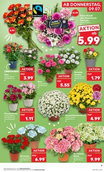 Blumen im aktuellen Kaufland Prospekt (Oberhausen) Blumen im Kaufland Prospekt "Hier bin ich richtig" mit 52 Seiten (Oberhausen)