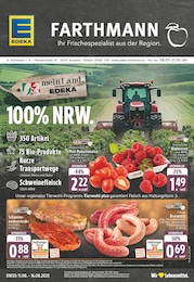 EDEKA Prospekt für Versmold: "Aktuelle Angebote", 24 Seiten, 11.08.2025 - 16.08.2025